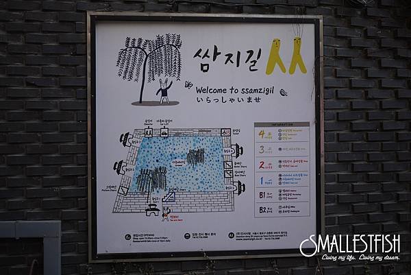P1100493a.jpg