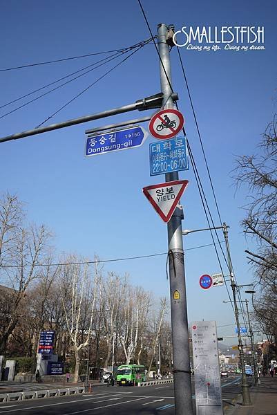 P1110986a.jpg