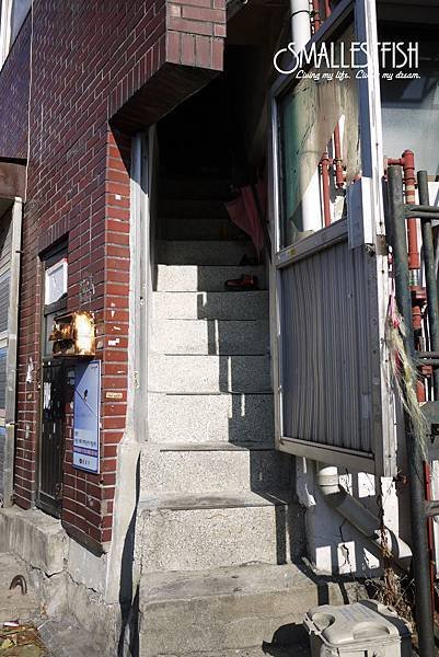 P1120115a.jpg
