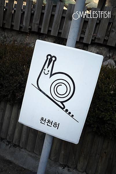 P1120137a.jpg