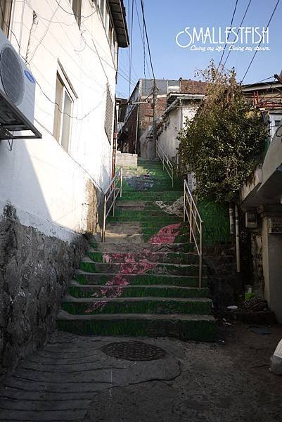 P1130626a.jpg