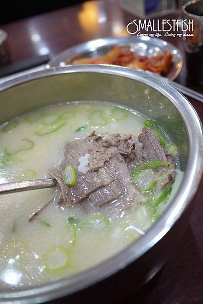 P1120809a.jpg
