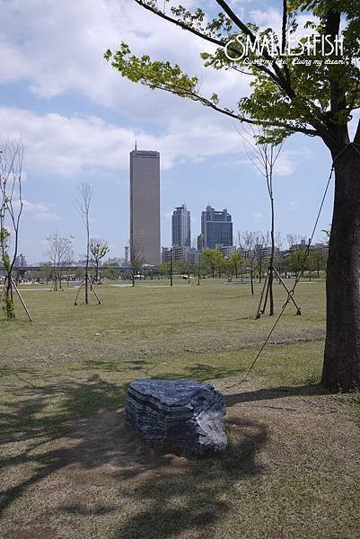 P1170994a