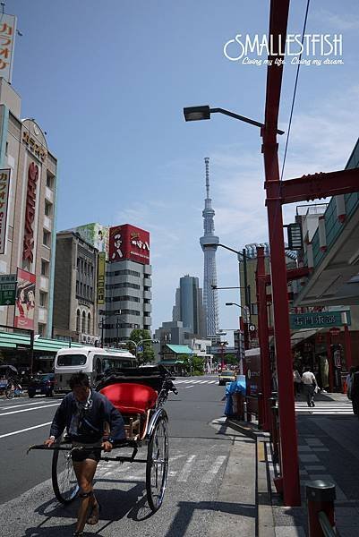 P1190516a