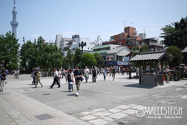 P1190563a