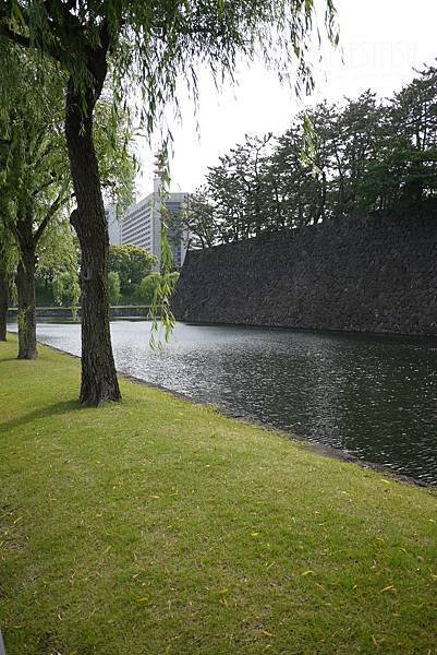 P1200143a