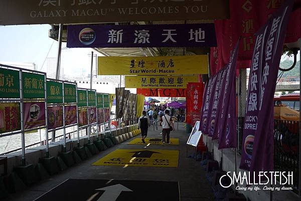 P1010745a.jpg