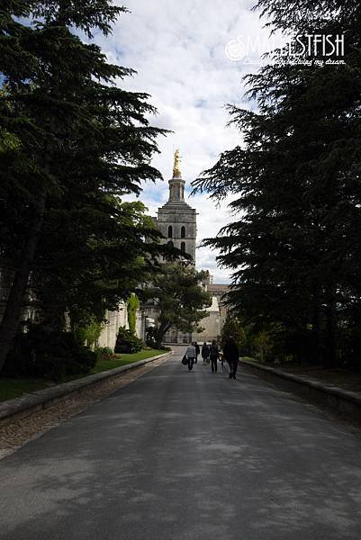 P1300770a.jpg