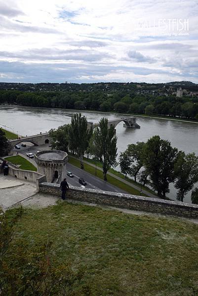 P1300776a.jpg