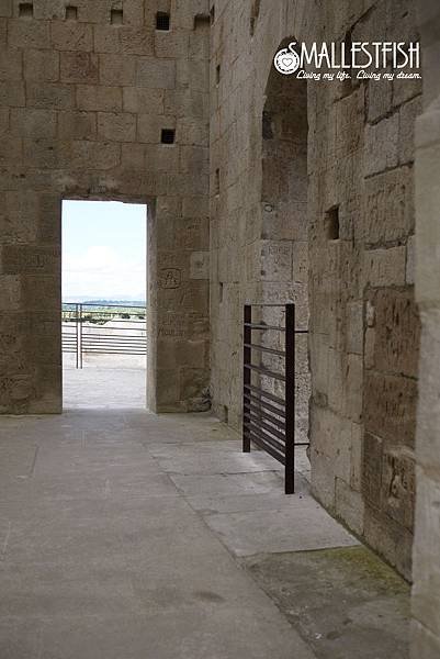 P1310043a.jpg