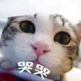 images.jpg