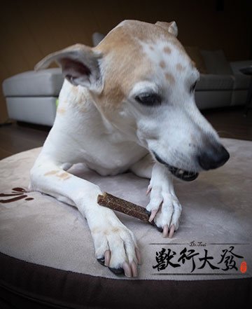 潔牙骨7.jpg