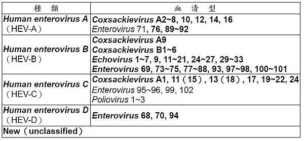 腸病毒分型