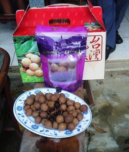土窯村7.jpg