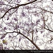 IMG_0083.JPG