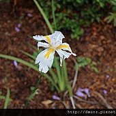 IMG_0090.JPG