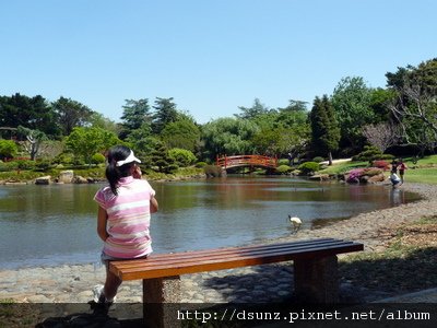 很悠閒的日本花園