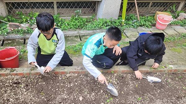 小田園紀錄--四季豆(1)