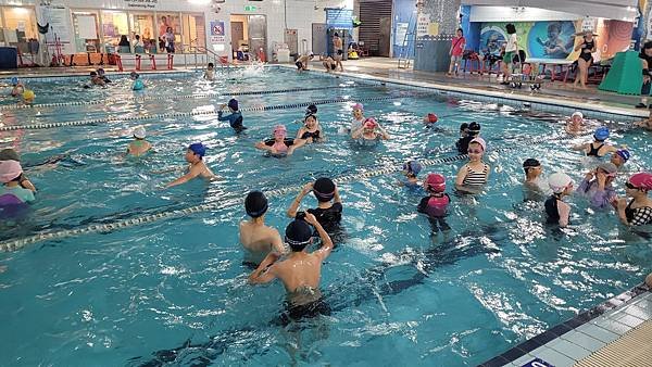 水上運動會