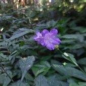 IMG_20190914_095610_HDR.jpg