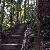 IMG_20190914_095208_HDR.jpg