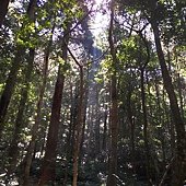 IMG_20190914_094715_HDR.jpg