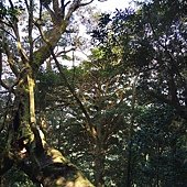 IMG_20190914_101006_HDR.jpg
