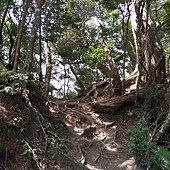 IMG_20190914_104747_HDR.jpg
