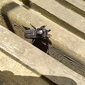 IMG_20190914_110625_HDR.jpg