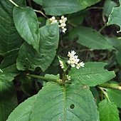IMG_20190914_120334_HDR.jpg