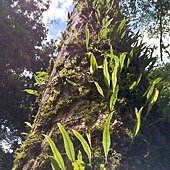 IMG_20190914_120310_HDR.jpg