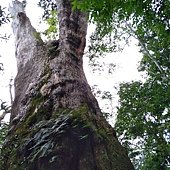 IMG_20190914_125032.jpg