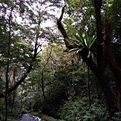 IMG_20190914_122437.jpg