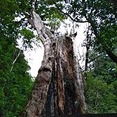 IMG_20190914_125317.jpg