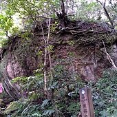 IMG_20190914_130354.jpg