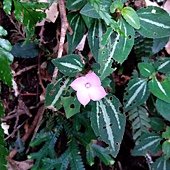 IMG_20190914_130511.jpg