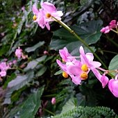 IMG_20190914_131248.jpg