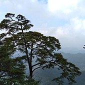 IMG_20190914_134057.jpg