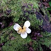 IMG_20190914_131813.jpg