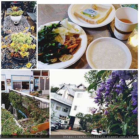 PhotoCollage_20200403_160959582.jpg