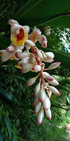 IMG_20200524_142736.jpg