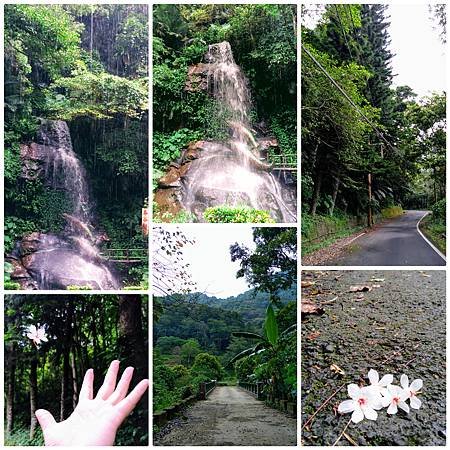 PhotoCollage_20200915_223901752.jpg