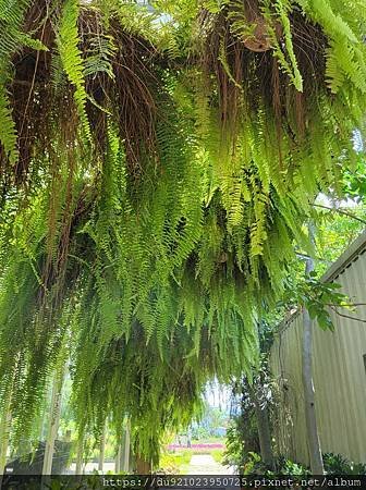 20210820_110959.jpg