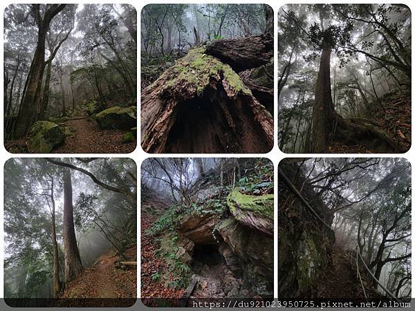 PhotoCollage_20230124_084220292.jpg