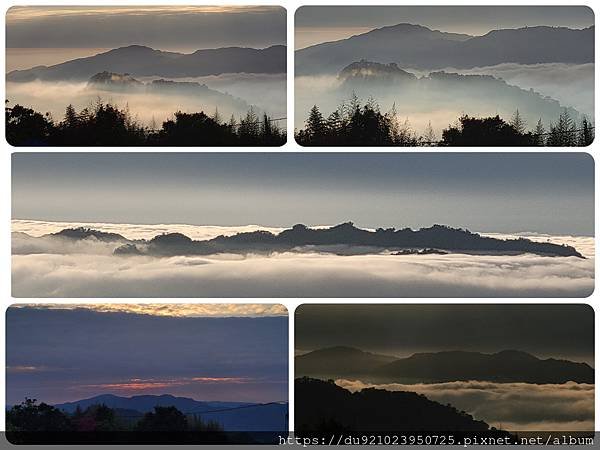 PhotoCollage_20230127_163446570.jpg