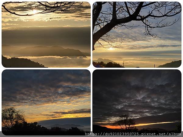 PhotoCollage_20230127_163546359.jpg