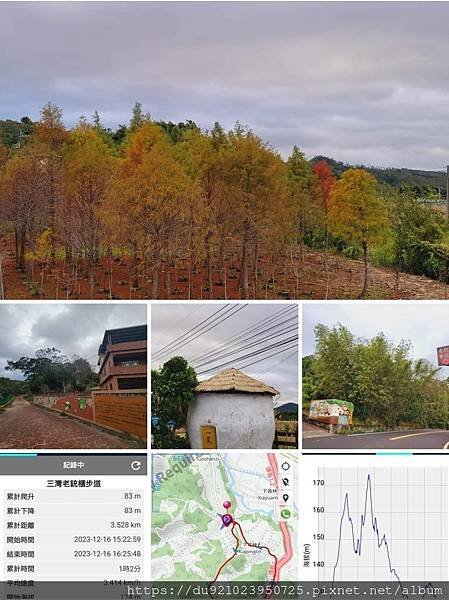 Play - 苗栗 銅鏡山林步道。老銃櫃步道。怡明茶園