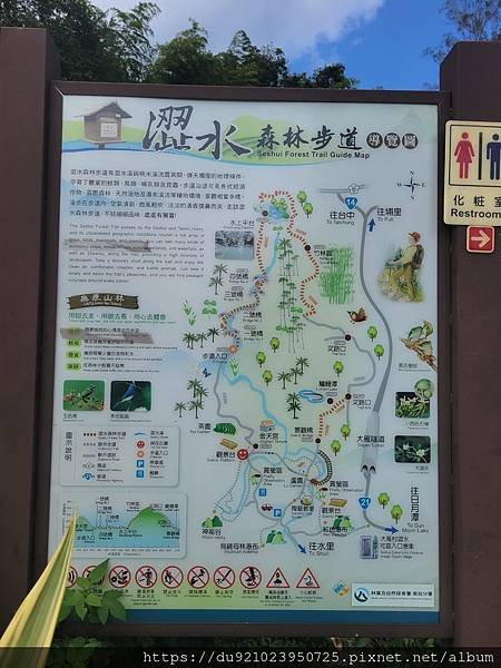 Play - 南投。澀水森林步道