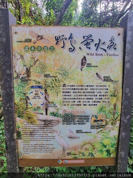 Play - 南投。澀水森林步道