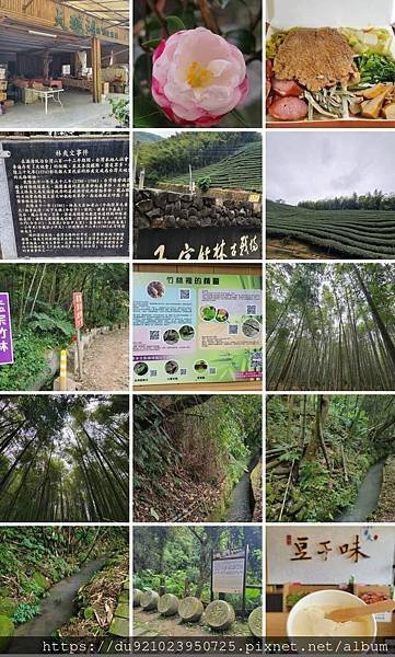 Play - 南投。竹山鹿谷銀杏竹林茶園